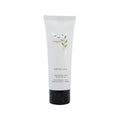 Mint Exfoliating Facial Polish.png